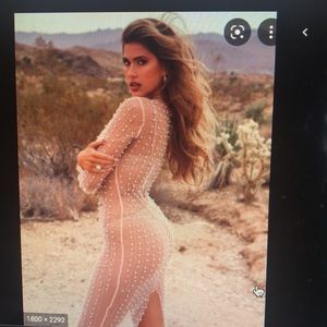 Beach bunny champagne nude mesh dress